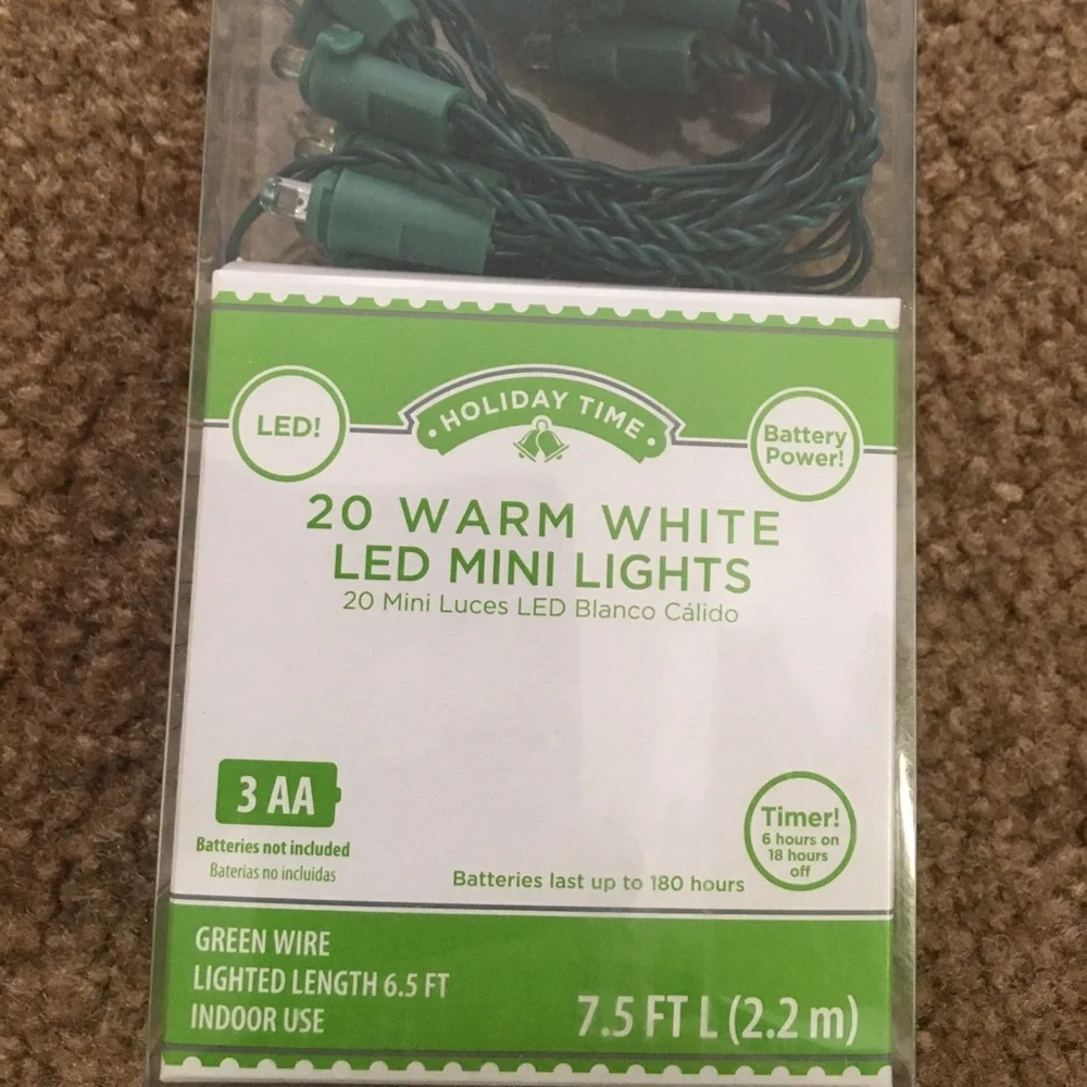 NWT Fun festive 20 warm white LED lights holiday